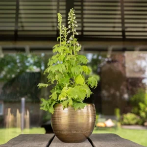 Buitenpot kopen | Online Woondecoratie NL