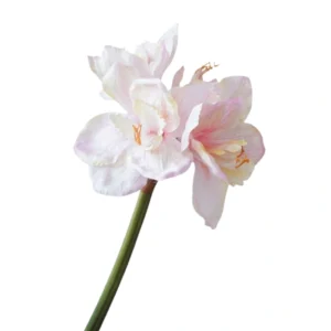 Zijdebloem Amaryllis 67cm roze | Online Woondecoratie NL