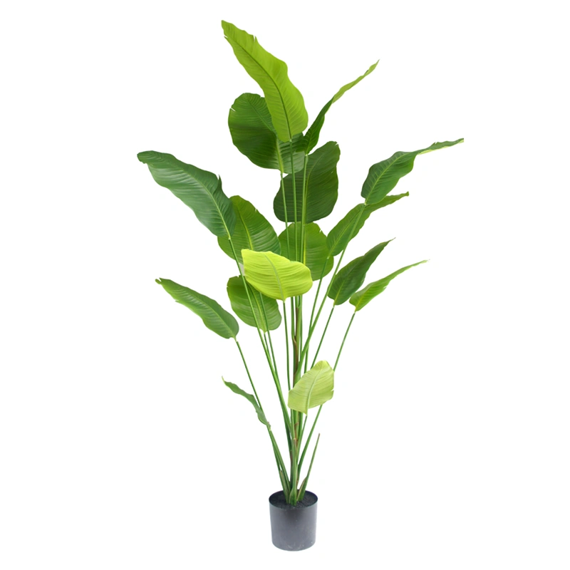 Kunst Strelitzia 210cm real touch | Niet te onderscheiden | Online Woondecoratie NL