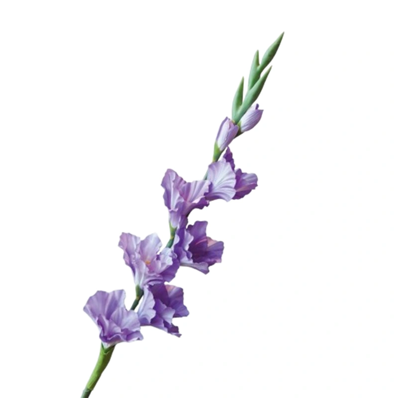 Zijdebloem Gladiool 82cm paars | Online Woondecoratie NL