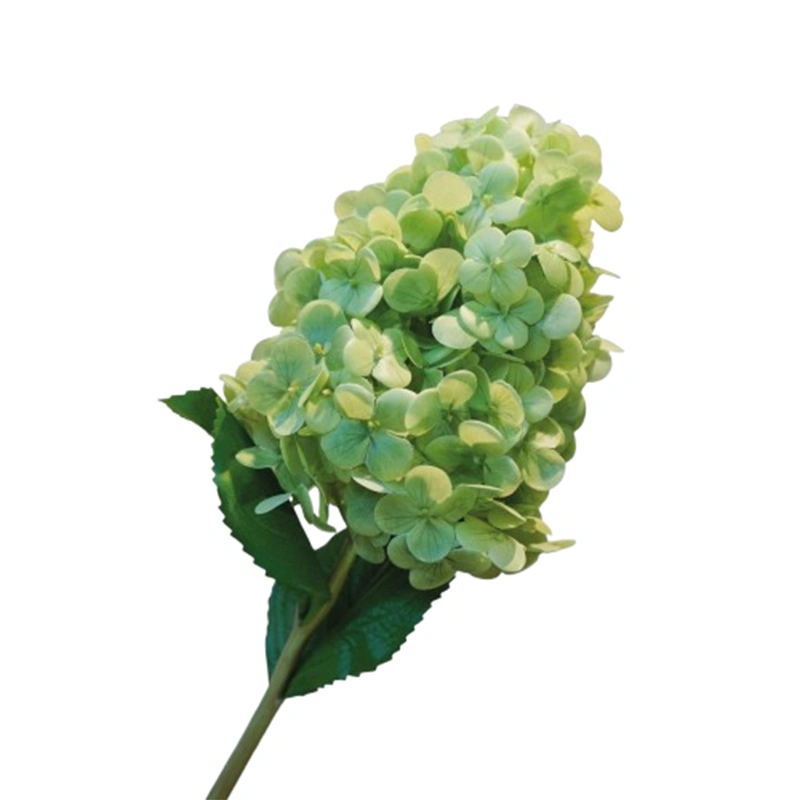 Zijdebloem Hortensia 70cm groen | Online Woondecoratie NL